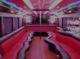 How to Start a Party Bus Business Party Bus Business