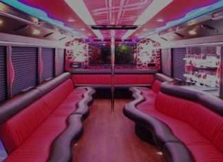 How to Start a Party Bus Business Party Bus Business