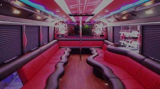 How to Start a Party Bus Business Party Bus Business