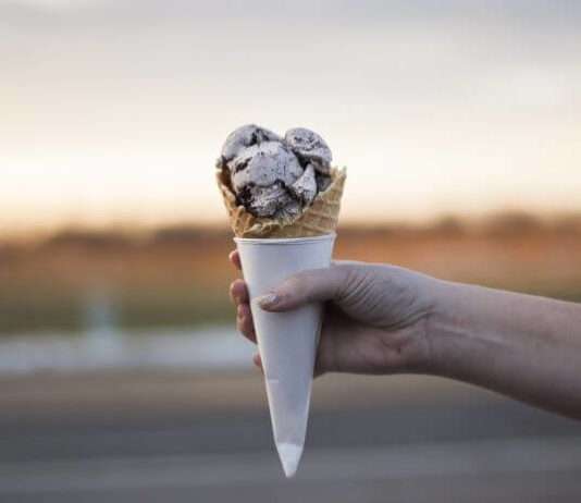 How To Start An Ice Cream Business Business Selling Ice Cream