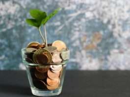 14 Low Cost Startup Business Ideas business ideas with low investment