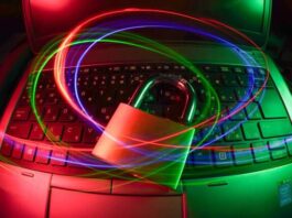 What Type of SSL Certificate Does Your Website Need? What Type of SSL Certificate Does Your Website Need?