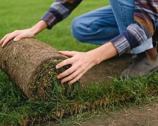 What Type of Landscaping Business Should You Start? What Type of Landscaping Business Should You Start?