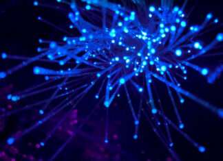 What is GTE Technology? What is GTE Technology?