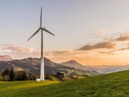 5 Ways for Your Small Business To Prioritize Sustainability 5 Ways for Your Small Business To Prioritize Sustainability