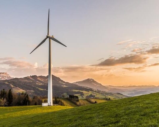 5 Ways for Your Small Business To Prioritize Sustainability 5 Ways for Your Small Business To Prioritize Sustainability