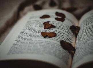 Support Small Business Quotes to Inspire You Support Small Business Quotes to Inspire You