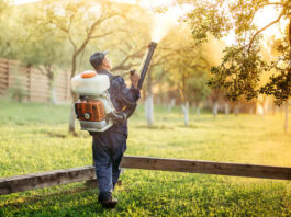 How To Choose The Right Mosquito Control Company How To Choose The Right Mosquito Control Company