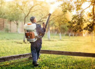 How To Choose The Right Mosquito Control Company How To Choose The Right Mosquito Control Company