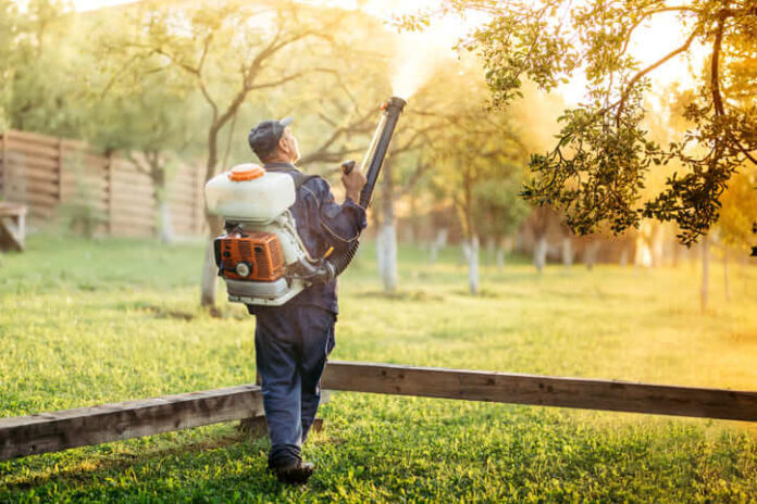 How To Choose The Right Mosquito Control Company