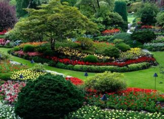 How to Write an Effective Landscaping Business Plan; a Step-By-Step Guide Landscaping Business Plan Where to Start