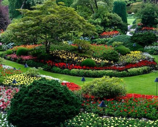 How to Write an Effective Landscaping Business Plan; a Step-By-Step Guide Landscaping Business Plan Where to Start