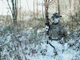 Is Bear Creek Arsenal Going Out of Business? Is Bear Creek Arsenal Going Out of Business