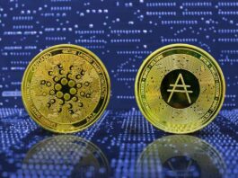 What Makes Crypto Apex AI A fantastic App For You? What Makes Crypto Apex AI A fantastic App For You?