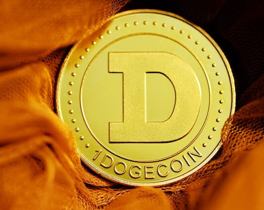 Reasons DOGE Serves As An Excellent Cryptocurrency For Diversifying Portfolio Reasons DOGE Serves As An Excellent Cryptocurrency For Diversifying Portfolio