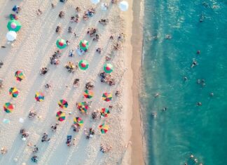 Is Bluegreen Going Out of Business: All You Need to Know Is Bluegreen Going Out of Business