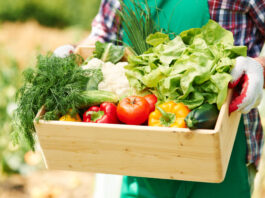 Is Azure Standard Going Out of Business? Is Azure Standard Going Out of Business