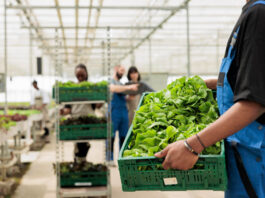 How To Start An Agricultural Supply Store In Your Area? How To Start An Agricultural Supply Store In Your Area?
