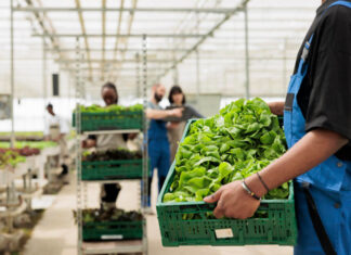 How To Start An Agricultural Supply Store In Your Area? How To Start An Agricultural Supply Store In Your Area?