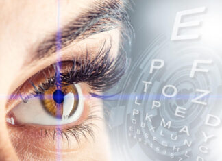 The Science Behind Effective Training Methods: What Really Works? The Science Behind Effective Training Methods