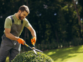 Elevate Your Landscaping Business With Expert SEO Services Elevate Your Landscaping Business With Expert SEO Services