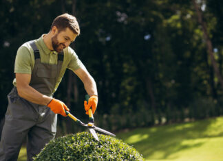 Elevate Your Landscaping Business With Expert SEO Services Elevate Your Landscaping Business With Expert SEO Services