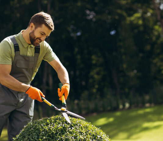 Elevate Your Landscaping Business With Expert SEO Services Elevate Your Landscaping Business With Expert SEO Services