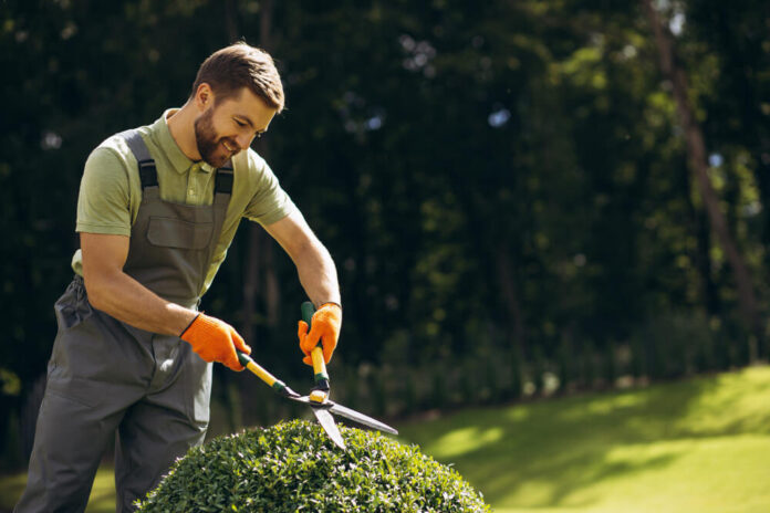 Elevate Your Landscaping Business With Expert SEO Services