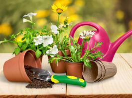 Tips For Maintaining And Enhancing Your Garden Tools Tips For Maintaining And Enhancing Your Garden Tools