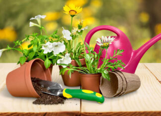 Tips For Maintaining And Enhancing Your Garden Tools Tips For Maintaining And Enhancing Your Garden Tools