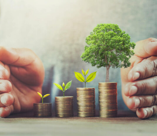 The Role Of A Custodian In Protecting Your Investments The Role Of A Custodian In Protecting Your Investments